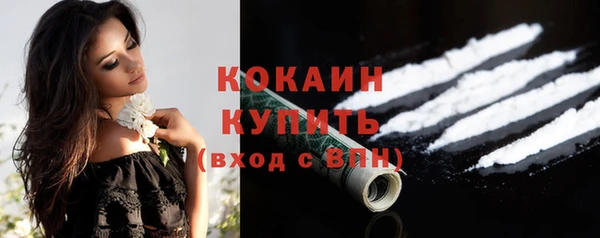 стафф Аркадак