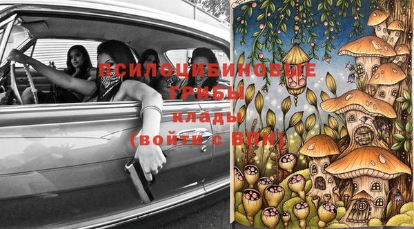 стафф Аркадак