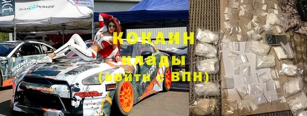 стафф Аркадак