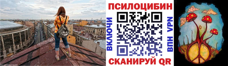 Купить закладки  Надым  Псилоцибиновые грибы Cubensis 