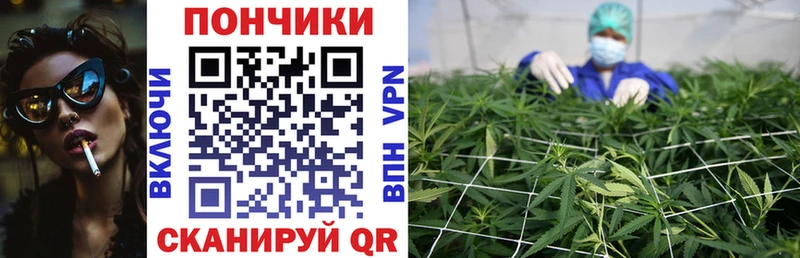 Купить закладки  Надым  Канабис конопля 